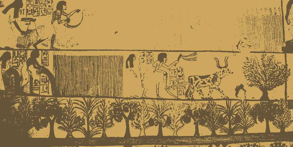 antiga agricultura egípcia