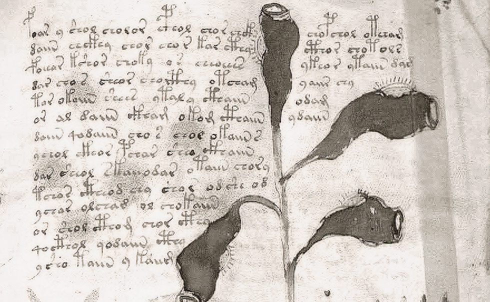 trecho do Manuscrito Voynich