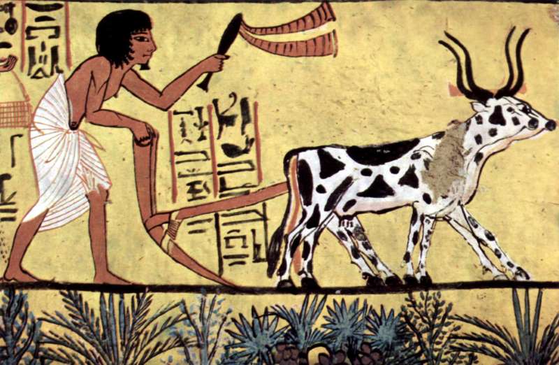 Agricultor do Antigo Egito