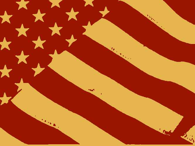 bandeira americana estilizada