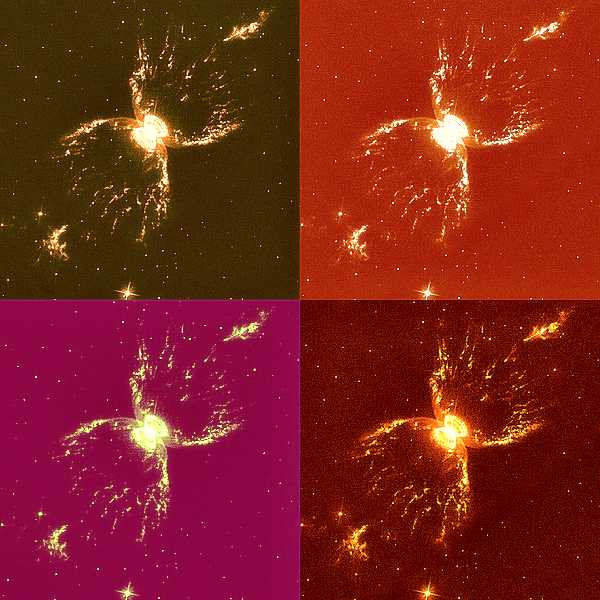 Supernova do Caranguejo (Hubble)