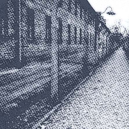 Auschwitz-Birkenau