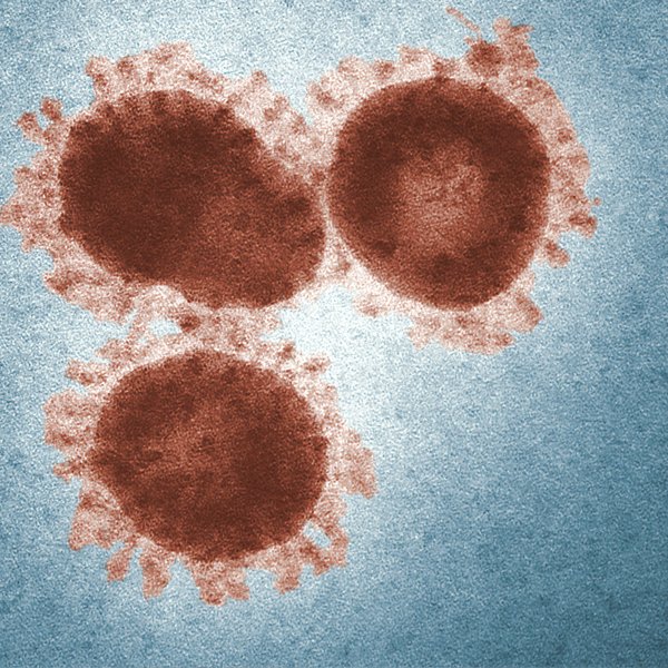 Coronavírus - CDC