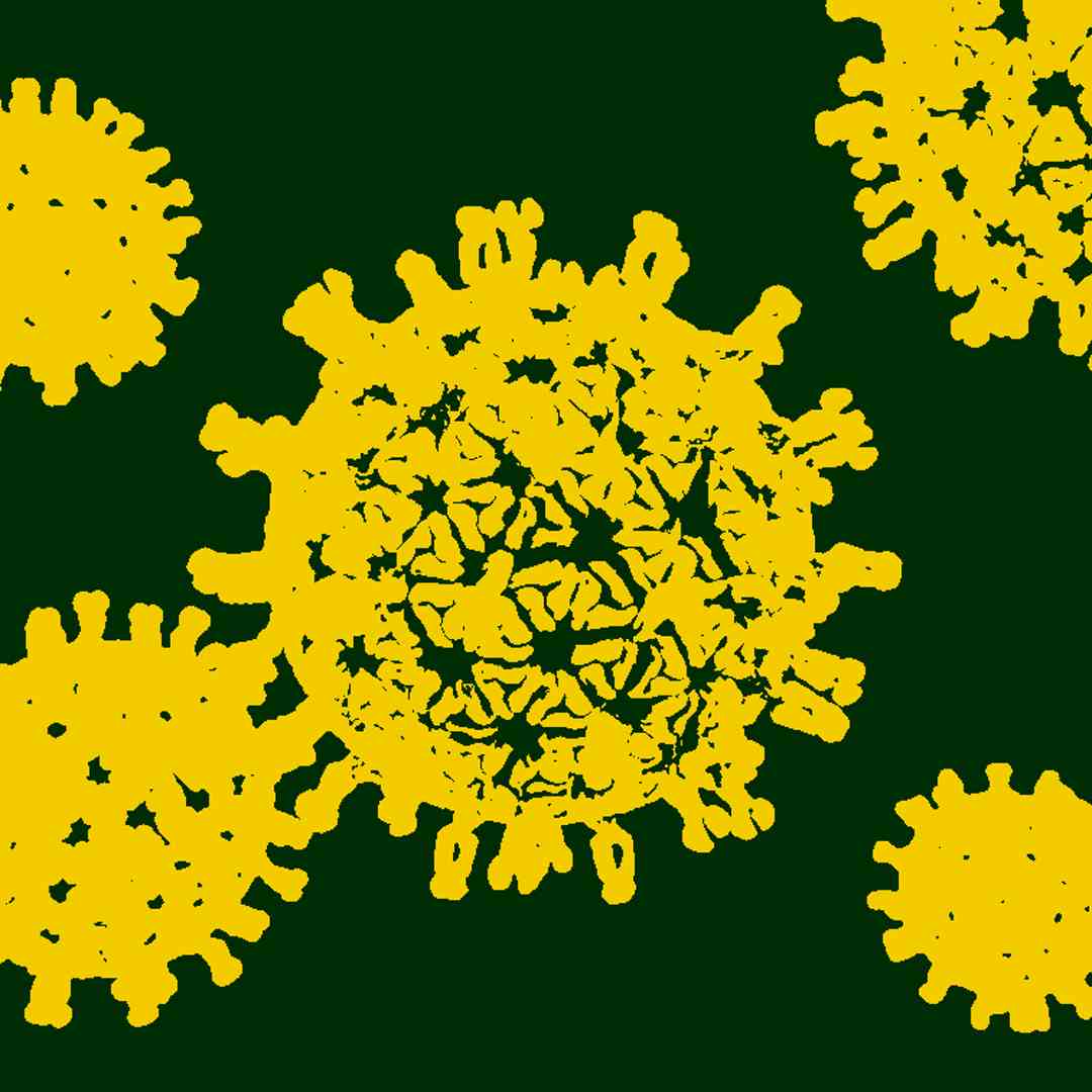virus brasil