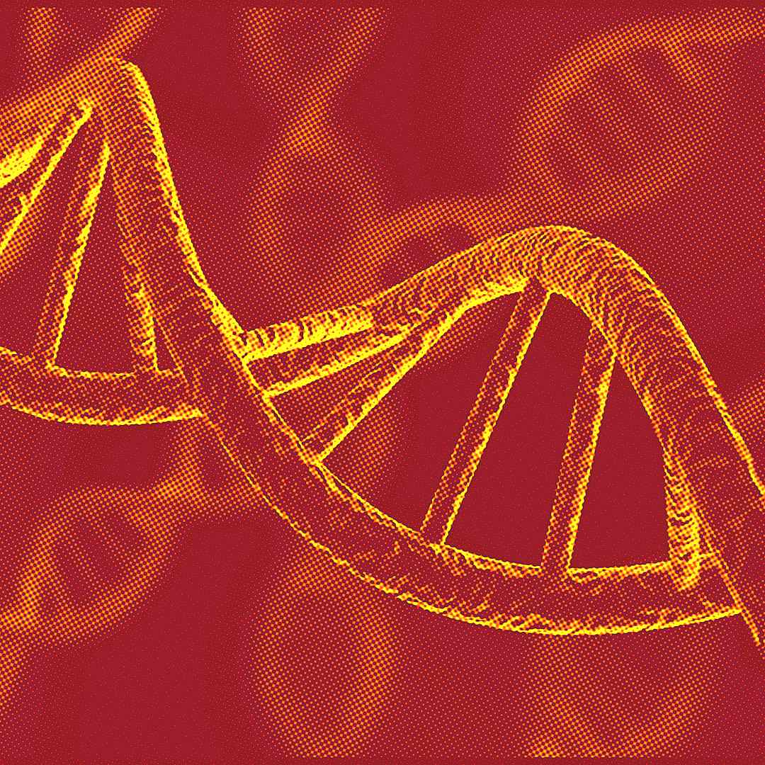 dna helix