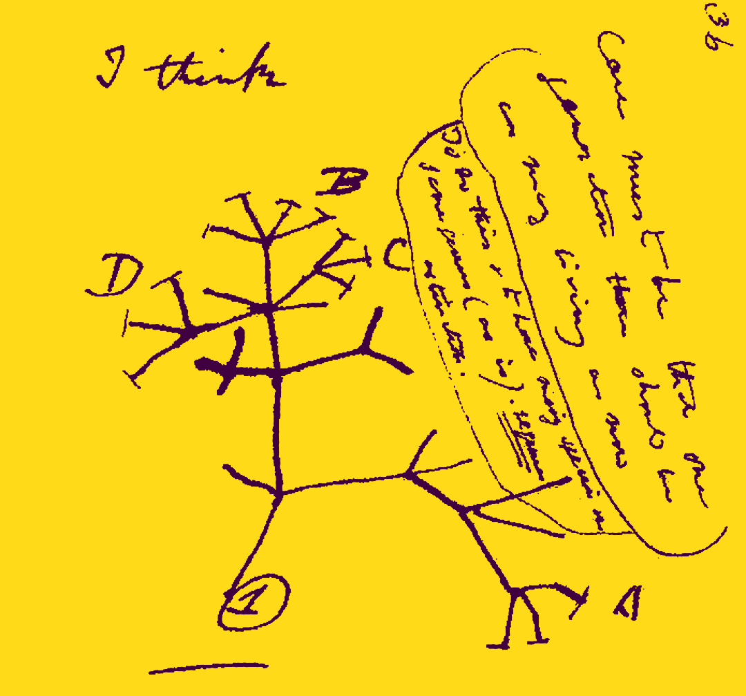 Árvore da Vida de caderno de Charles Darwin