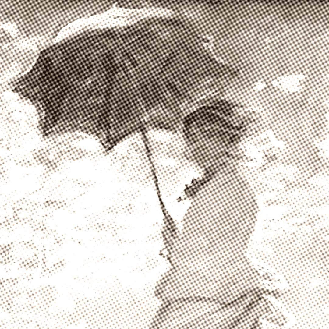 parasol