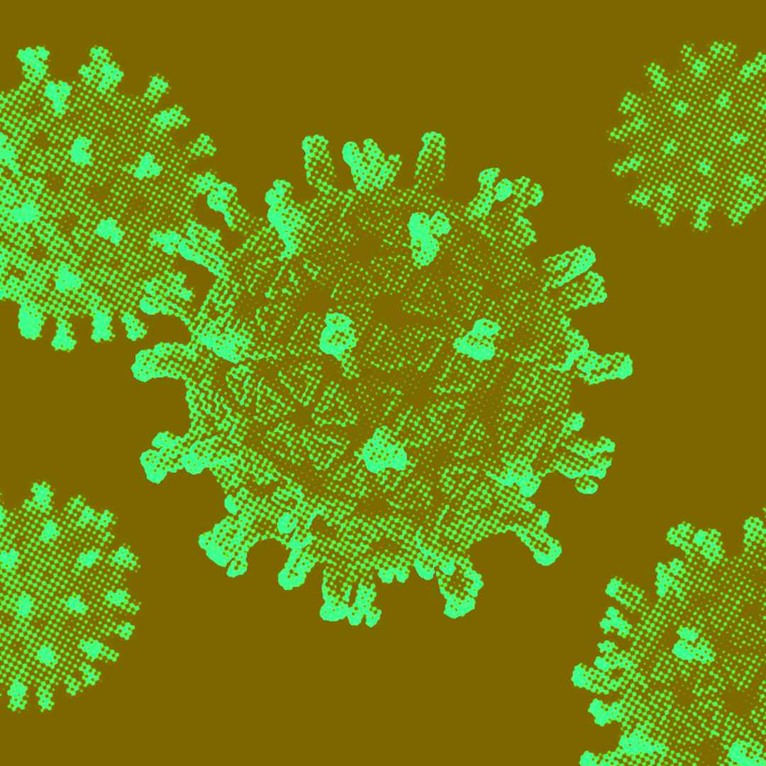 virus