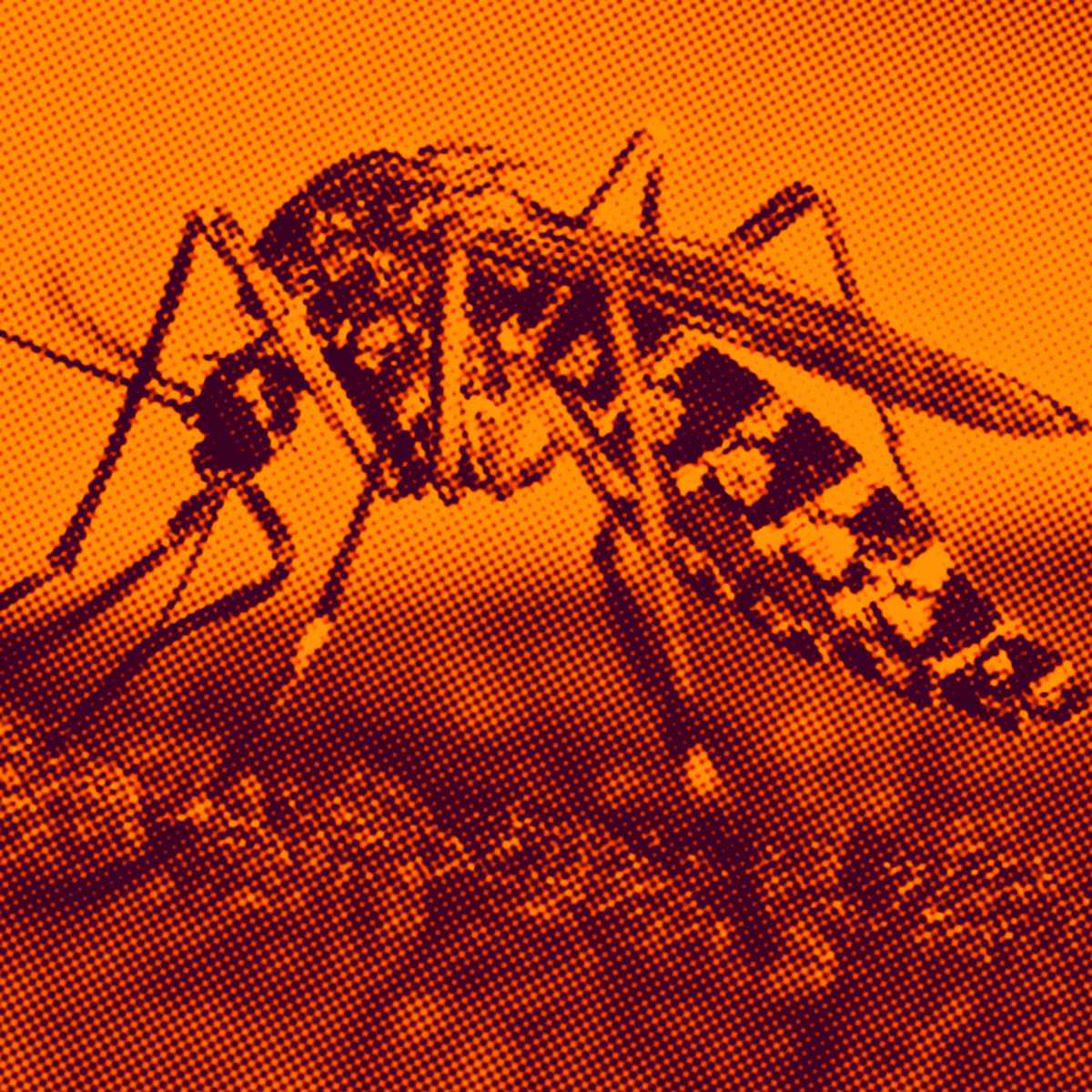 mosquito transmissor da dengue