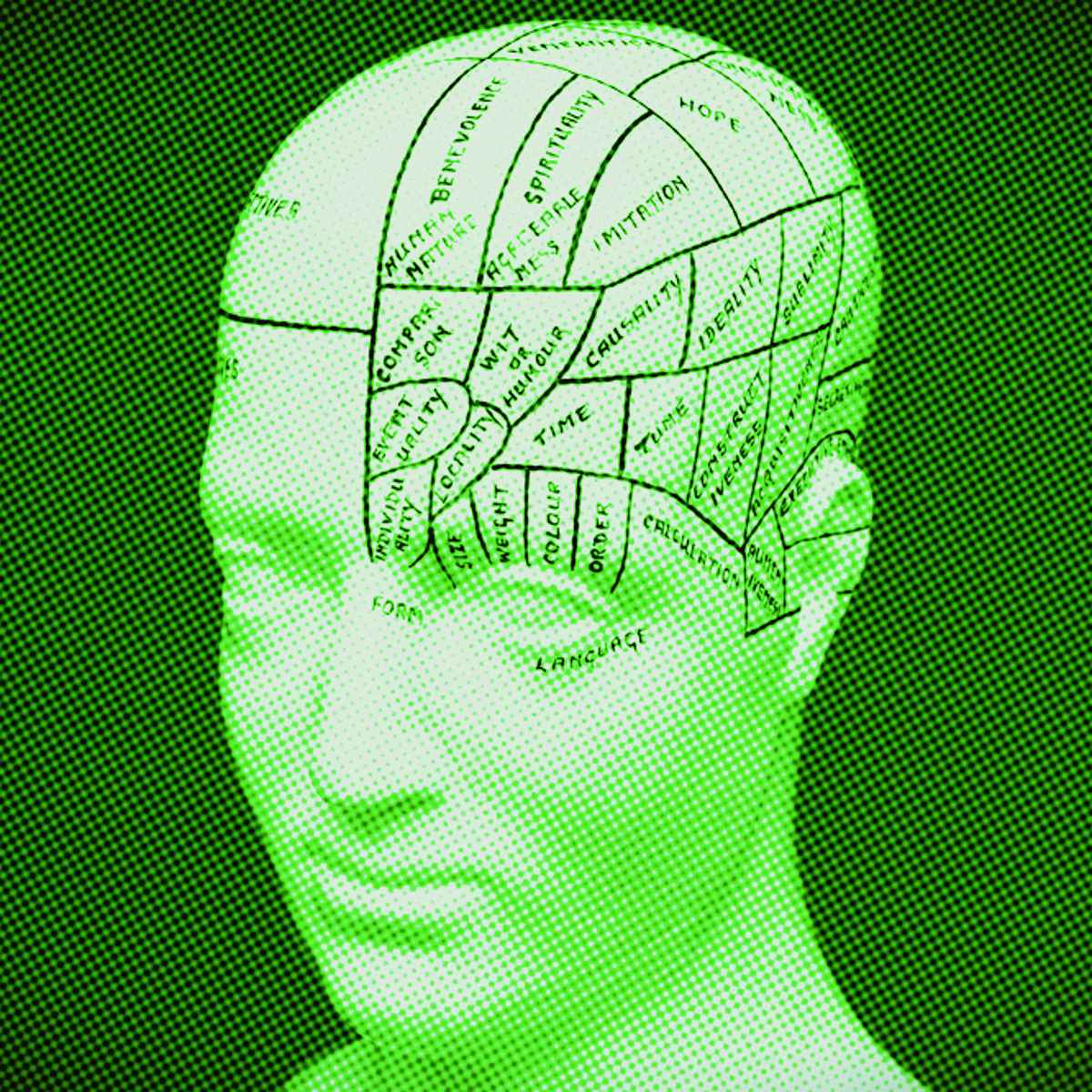 modelo de cerâmica de frenologia