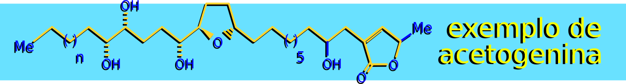 Estrutura molecular de uma acetogenina