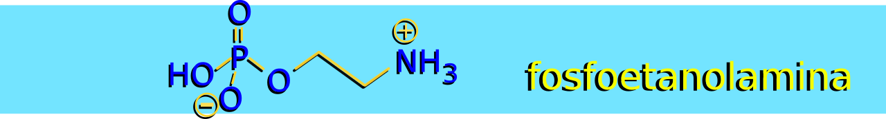 Estrutura molecular da fosfoetanolamina