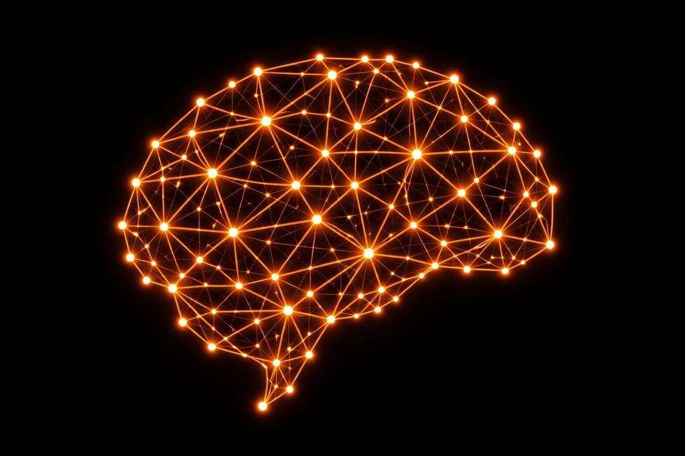 rede em forma de cérebro