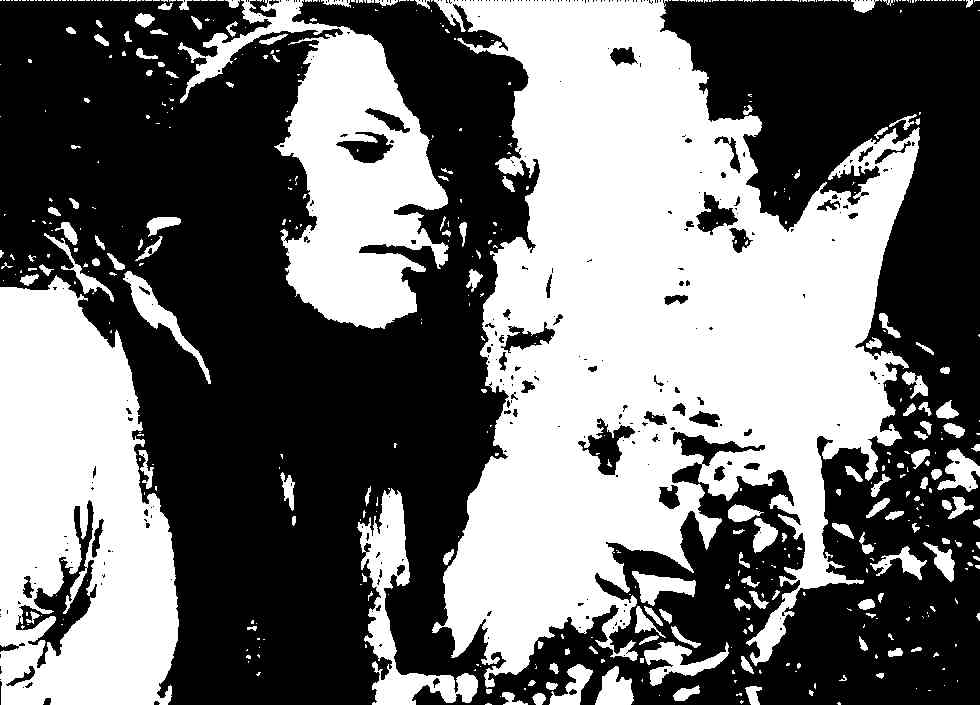 fada de cottingley