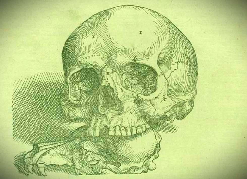 skull