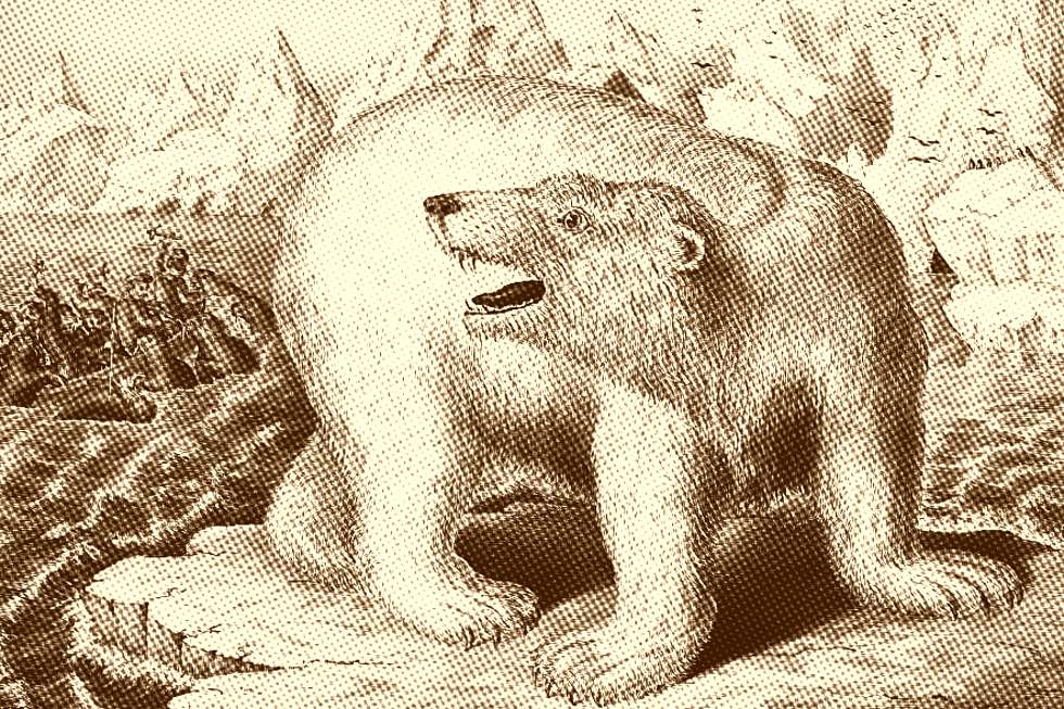 ilustração de caça a urso polar