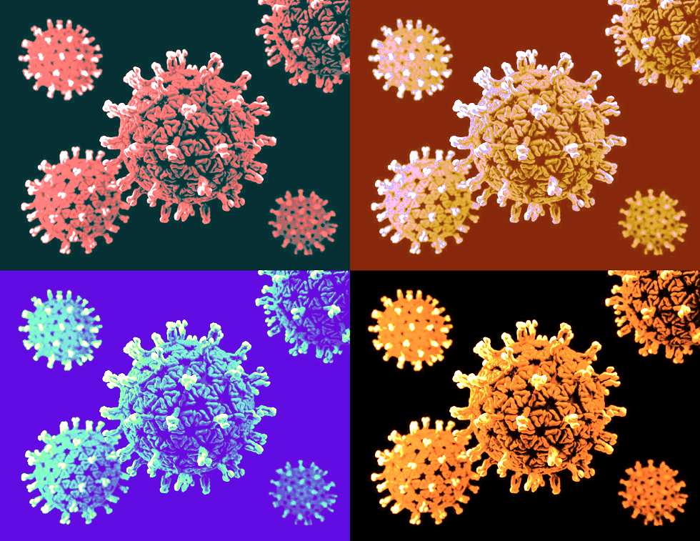 coronavirus