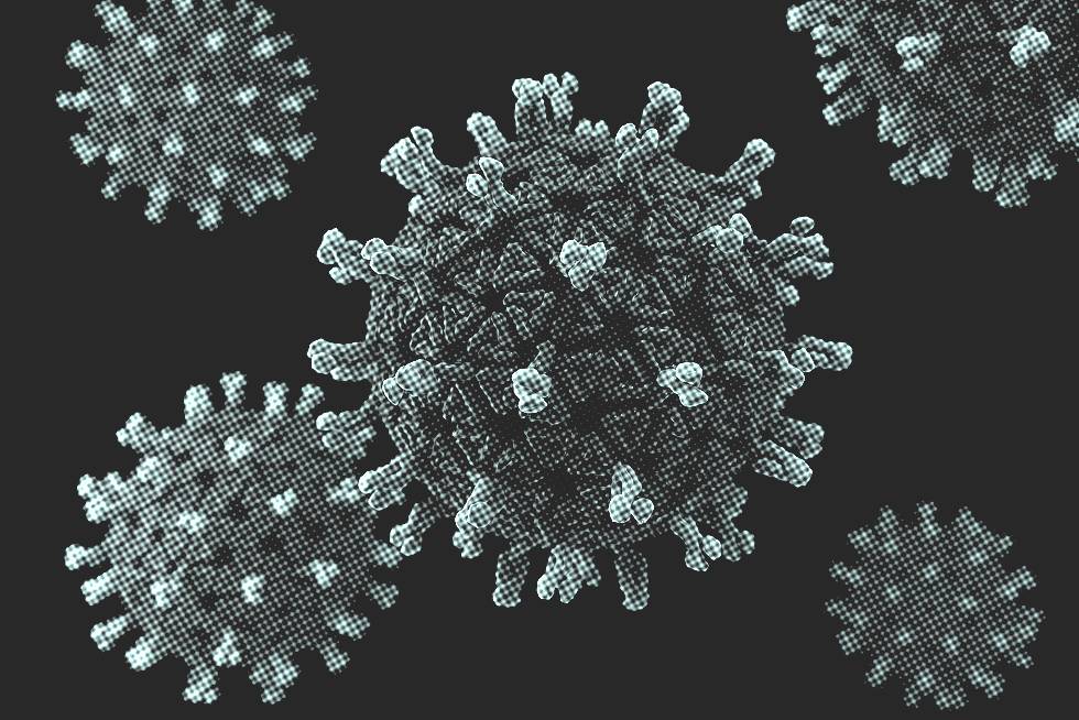 covid virus