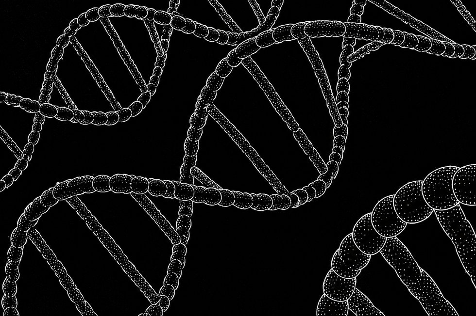 fita de DNA em preto e branco