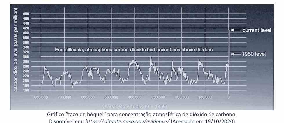 grafico taco