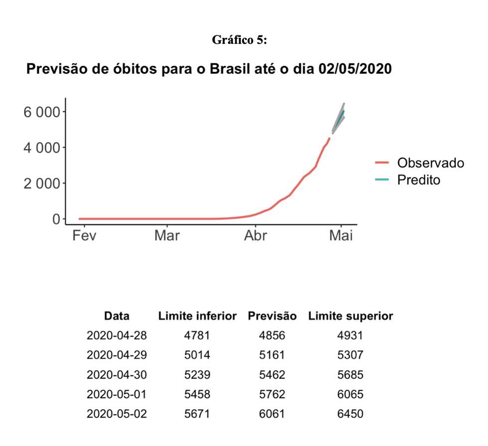 grafico 5